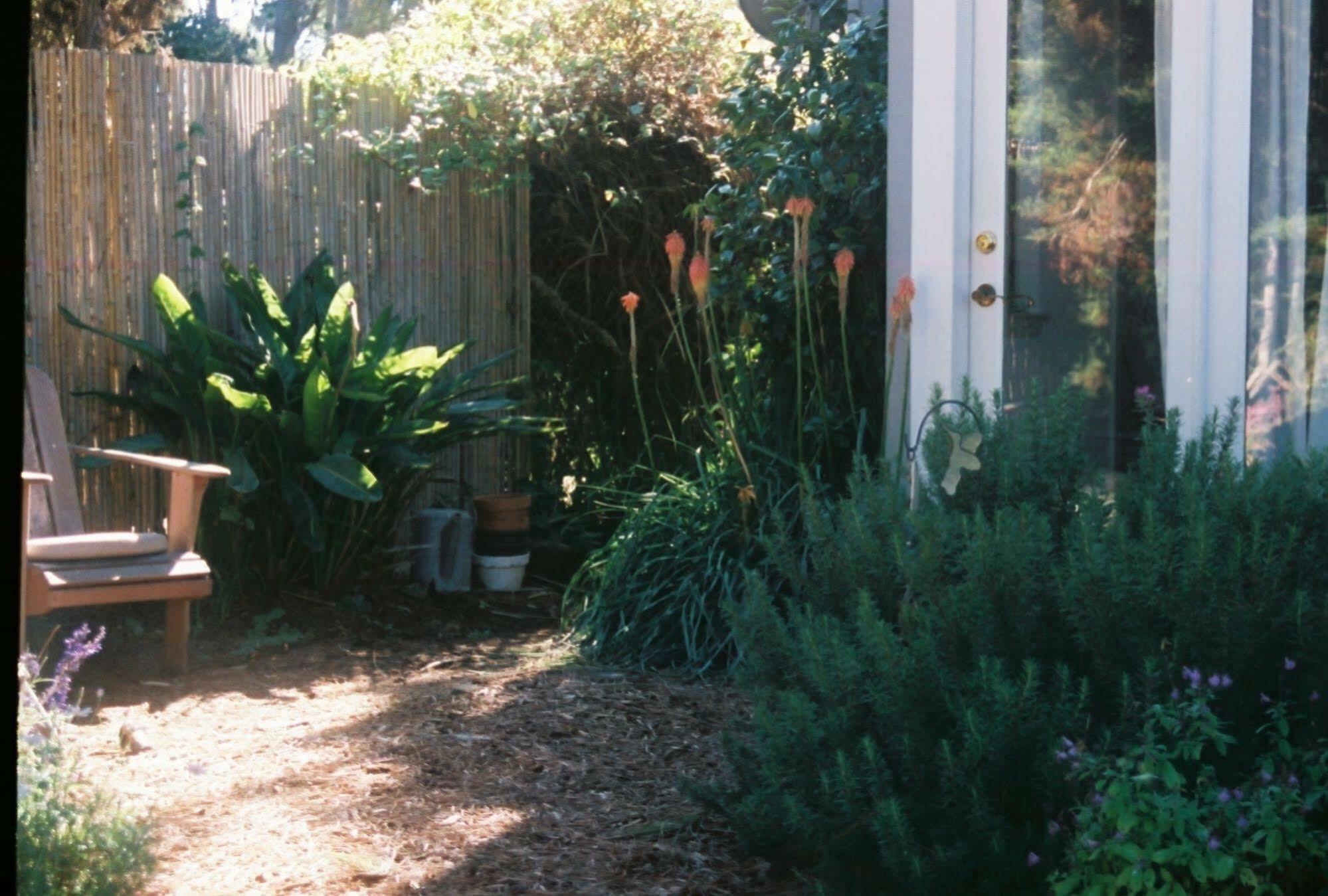 Dreydon House Bed And Breakfast Cambria Exterior photo